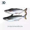 Cá Dứa Tươi Nguyên Con